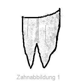 zahn.jpg